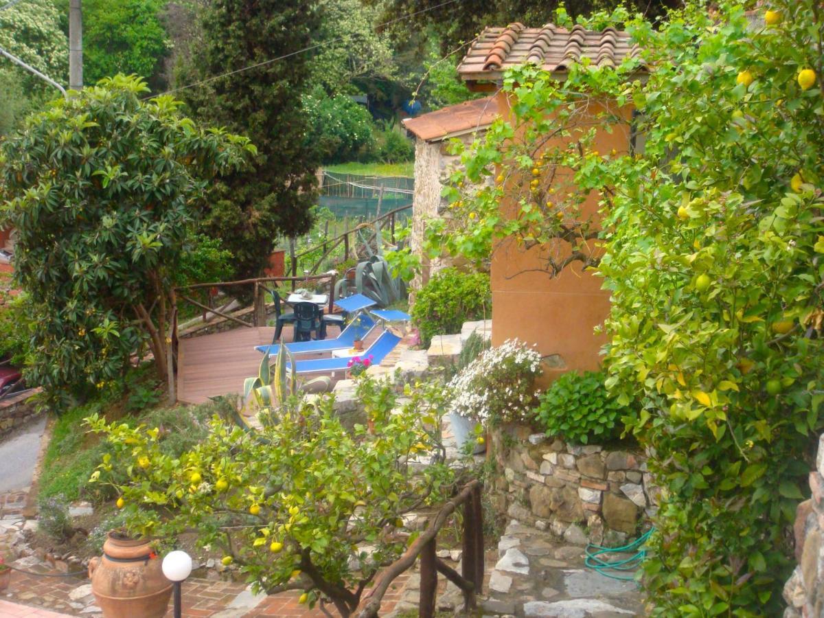 Holiday Home Bruna By Interhome Massarosa Dış mekan fotoğraf